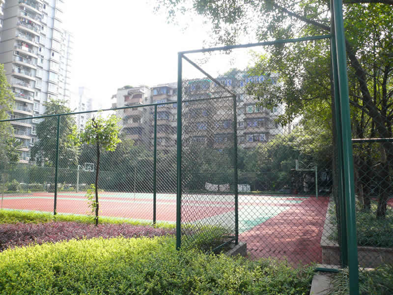 Chain Link Fence