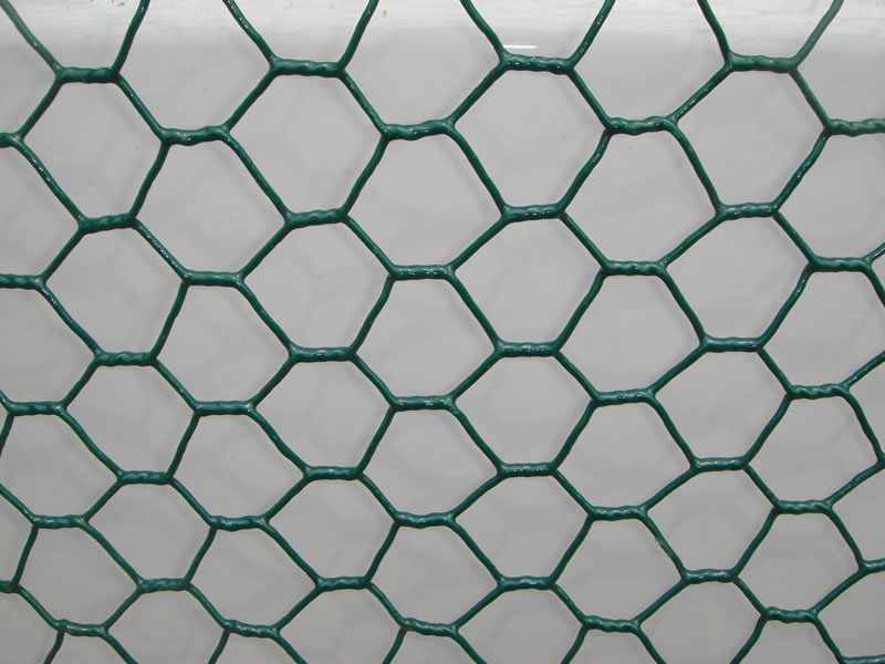 Hexagonal Wire Mesh