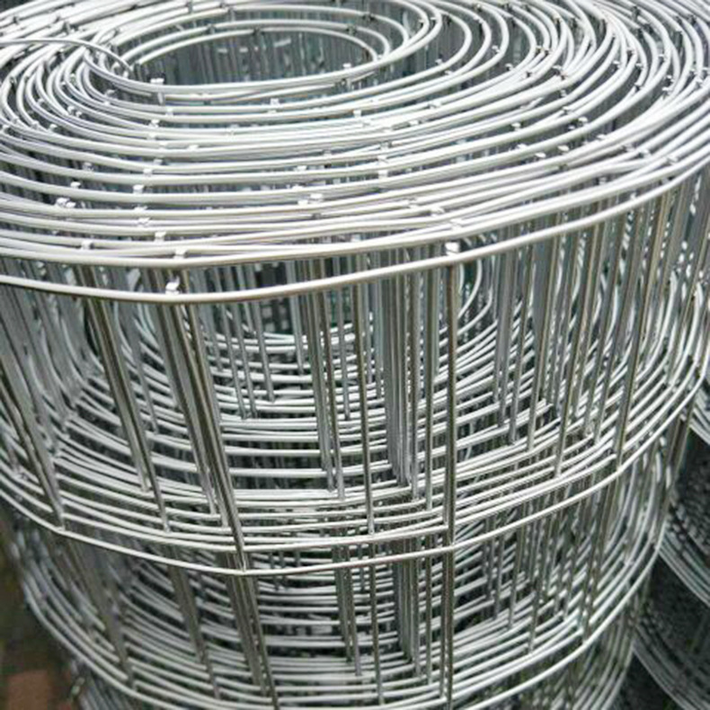 Welded Wire Mesh Roll